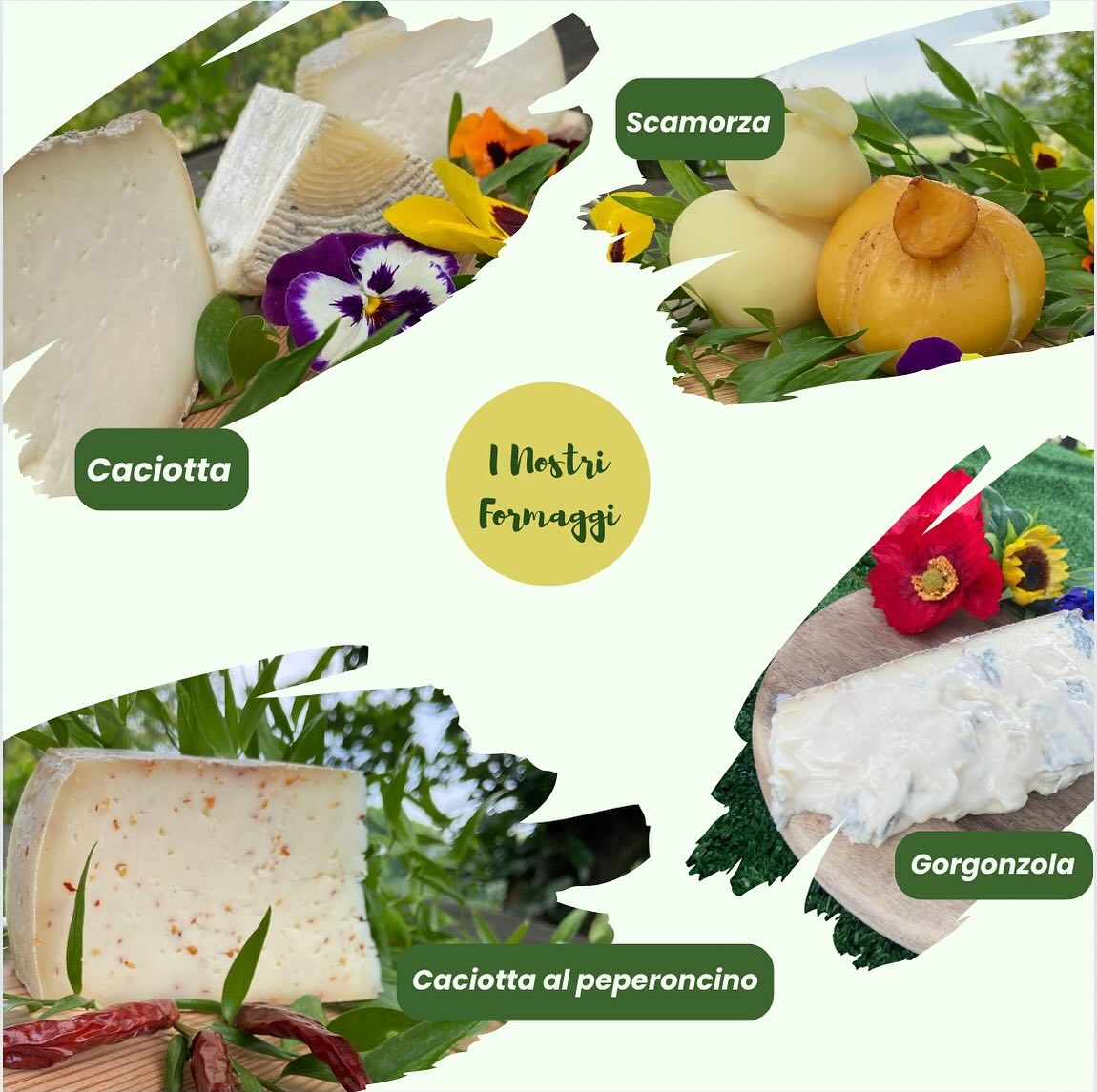 Formaggi